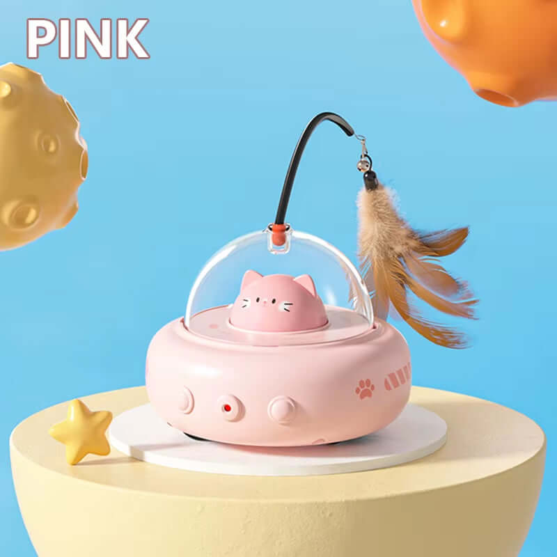 cat toys
