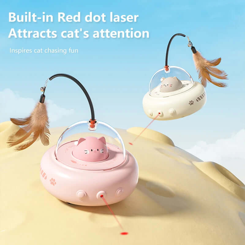 cat toys