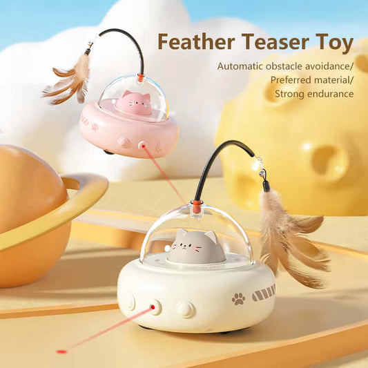 cat toys
